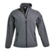 Picture of Ladies Fusion Soft Shell Jacket