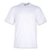 Picture of 170g Combed Cotton T-shirt