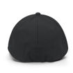 Black Back